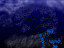 nite breeze.jpg